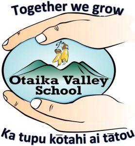 OVS Logo